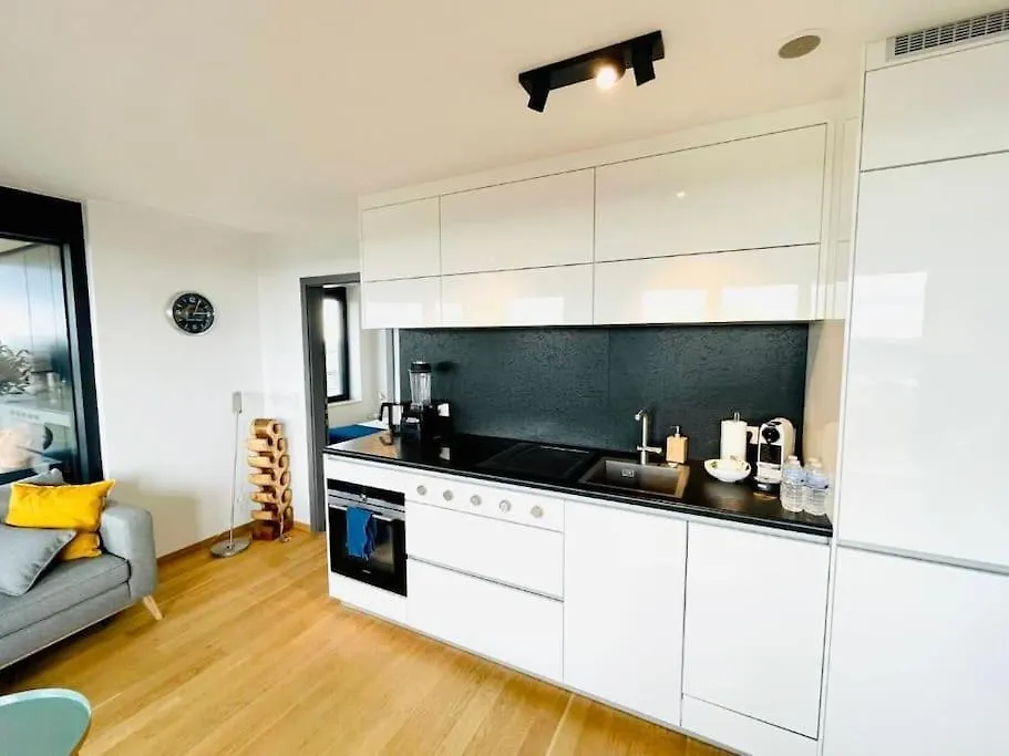1 Bedroom Flat In Center With Spa,Gym,Terrace&Parking-23 Luxembourg 0*,  Luxembourg